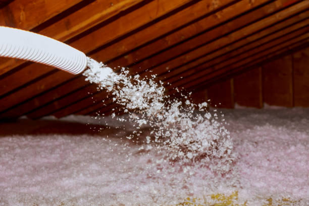 Types of Insulation We Offer in Sanford, FL