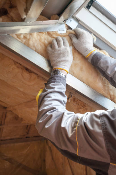 Best Specialized Insulation Services in Sanford, FL