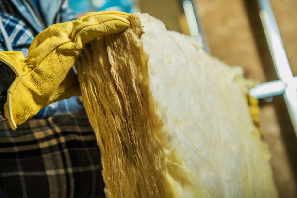 Best Cellulose Insulation in Sanford, FL