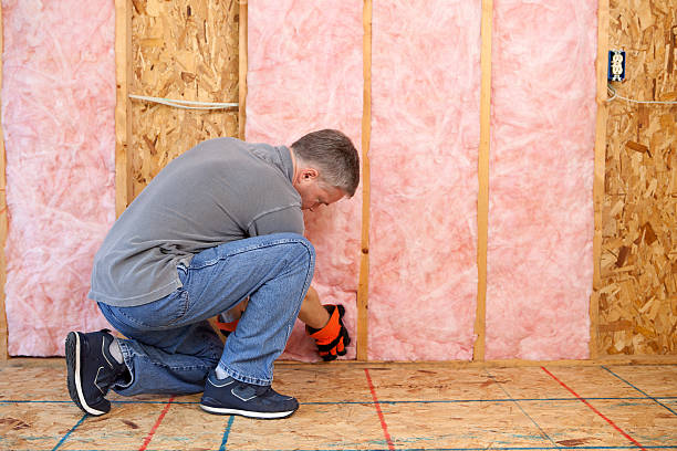 Best Geographic-Specific Insulation Services in Sanford, FL
